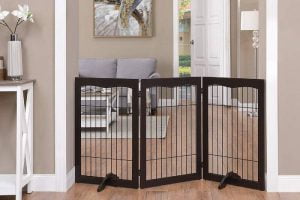 Best Baby Play Yard Gate Reviews